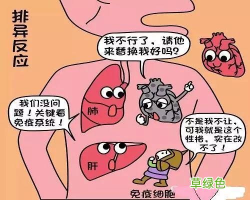 请问尿毒症有哪些症状 尿毒症有哪些症状