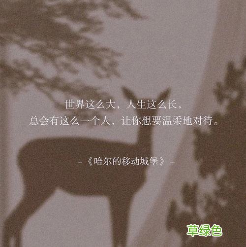 彦东纵有疾风起人生不言弃