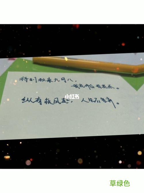 纵有疾风起人生无言弃的意思