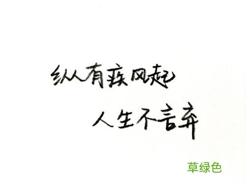 纵有疾风起人生不言弃背影图