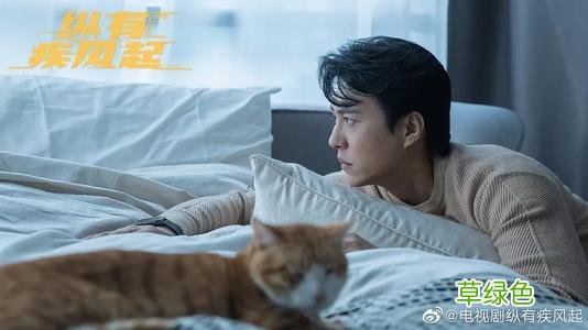纵有疾风起孙淳