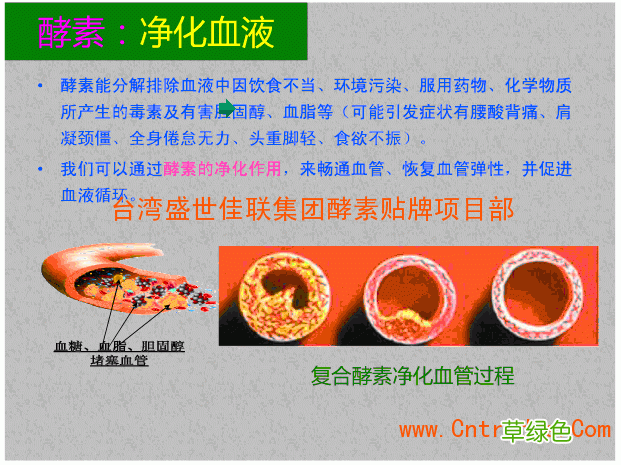 清肠排毒减肥方法最好的方法 清肠排毒方法