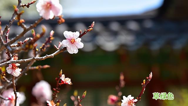 男宝宝名大全：于姓相貌堂堂的男孩名字，爽朗大气，霸气有范 男孩取富什么
