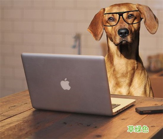 前列腺炎有什么症状和危害性怎么治疗 前列腺炎症状及治疗