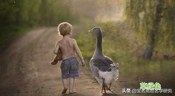 名字绝不是简单的代号，没有寓意的名字才是简单代号！ 晨什么意思属