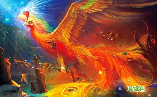 盘点上古神话中的8大神鸟，三足金乌排第三，金翅大鹏雕仅排第六 神话名字
