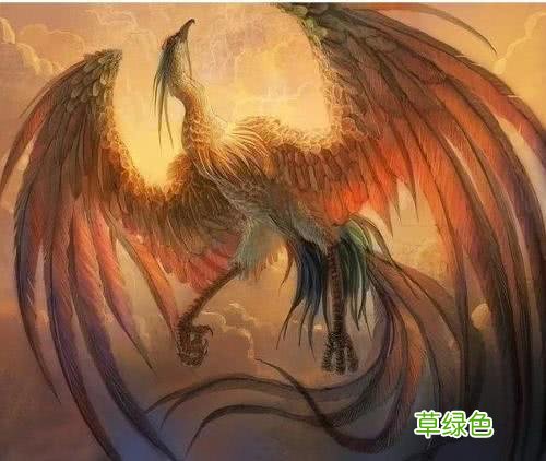 盘点上古神话中的8大神鸟，三足金乌排第三，金翅大鹏雕仅排第六 神话名字