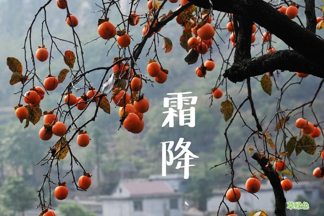 霜降节气吃什么蔬菜养生 霜降节气吃什么养生