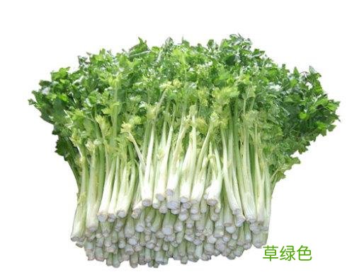 芹菜怎么腌制 芹菜的做法大全