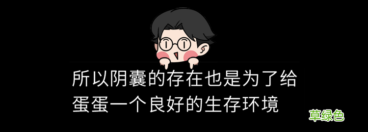 男性阴囊湿疹会不会传染 阴囊湿疹传染吗