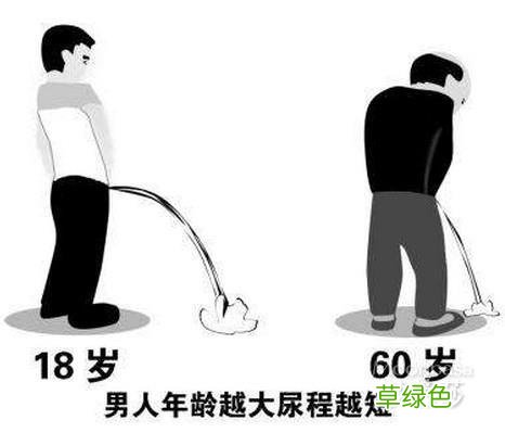 小便尿液分叉怎么回事 尿分叉是什么原因