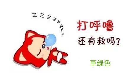 有没有什么治打呼噜的偏方女生 打呼噜怎么治偏方
