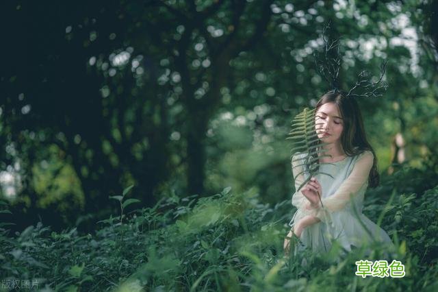 宝宝起名：起个带“木”的好名字，助宝宝茁壮成长 深字怎么起名