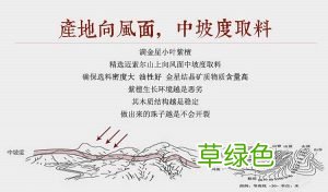 小叶紫檀金星是怎么形成的？