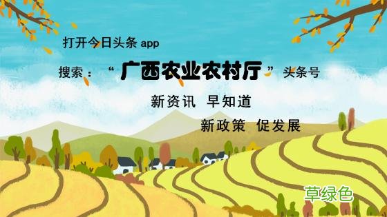 补肾益气固肾填精 补肾益气