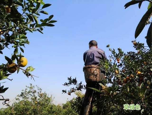 汉字探源：表示颜色的一些字是怎么来的？ 红用繁体字怎么