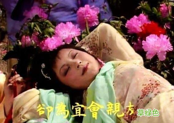 是真名士自风流：《红楼梦》中最潇洒女子，堪称完美女友的典范 红飞名字