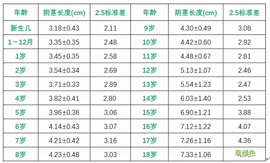 阴茎畸形