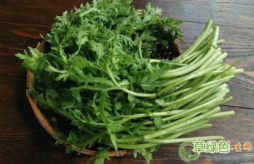 什么人不能吃茼蒿菜的作用与功效 什么人不能吃茼蒿