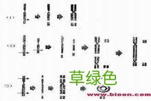 染色体异常怎么造成的 染色体异常的原因