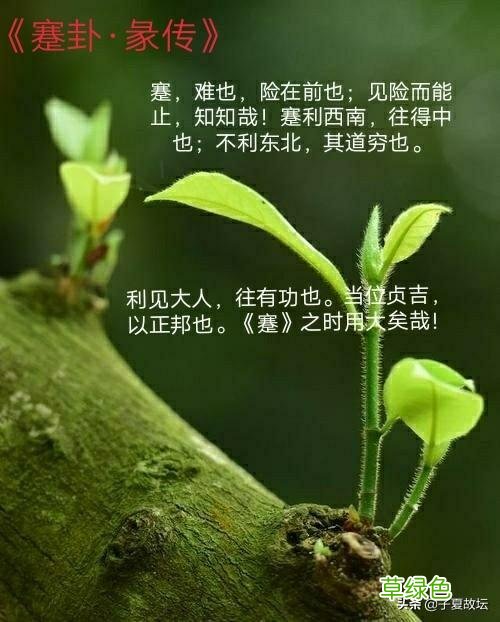「蹇卦」之卦辞及其彖传破解 艮五行属什么