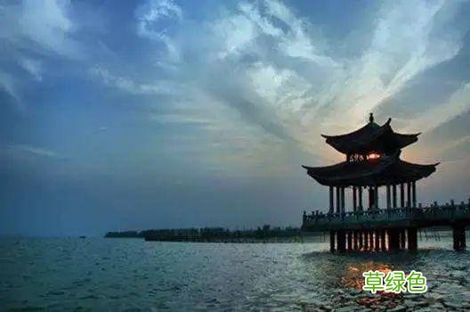 叙叙淮南⑤ 这俩字我猜你不一定读的对 芍姓怎么读