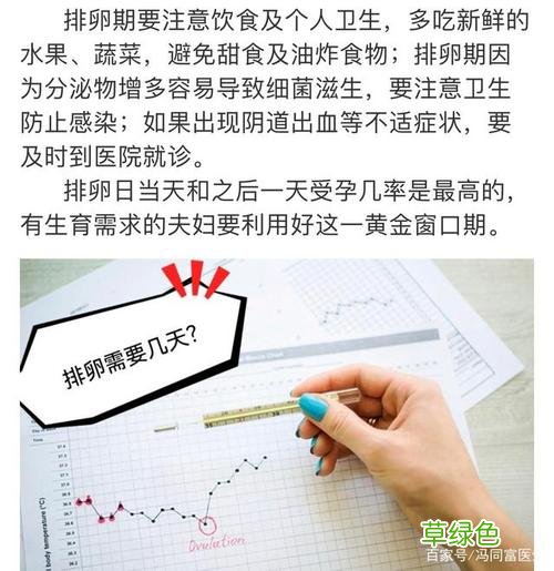 排卵期是什么时候 排卵期是什么时候