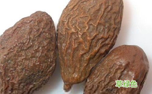 中药胖大海的作用 胖大海的主要功效