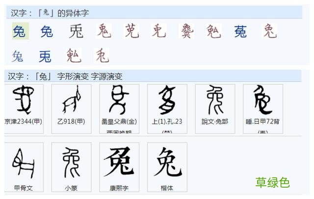 常用字范式之七十二 股字属什么行