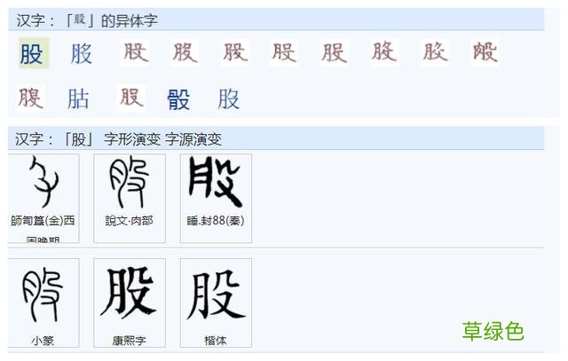 常用字范式之七十二 股字属什么行