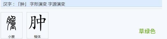 常用字范式之七十二 股字属什么行