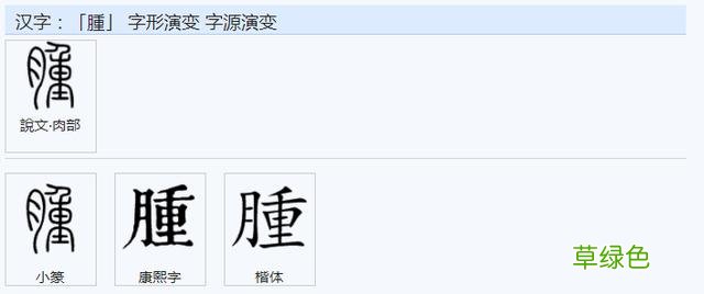 常用字范式之七十二 股字属什么行
