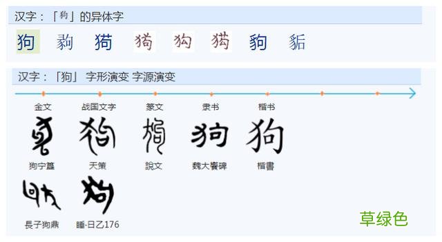 常用字范式之七十二 股字属什么行