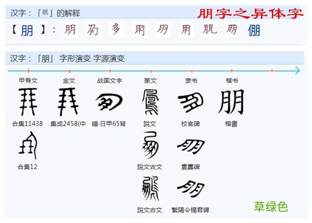 常用字范式之七十二 股字属什么行