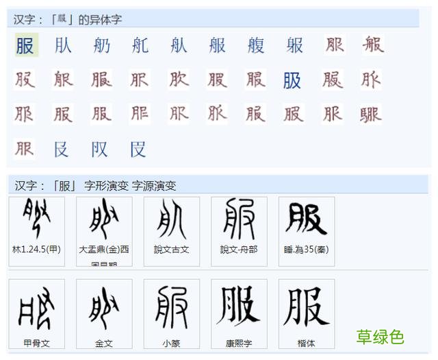 常用字范式之七十二 股字属什么行