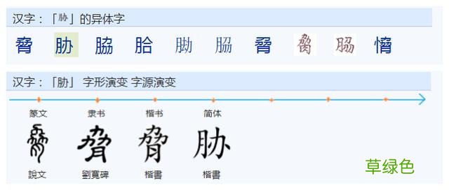 常用字范式之七十二 股字属什么行