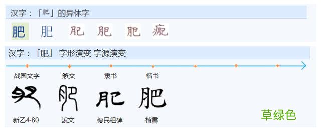 常用字范式之七十二 股字属什么行