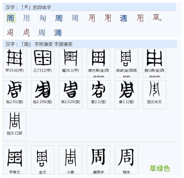 常用字范式之七十二 股字属什么行