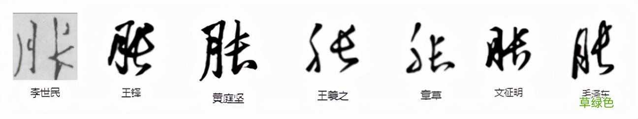 常用字范式之七十二 股字属什么行