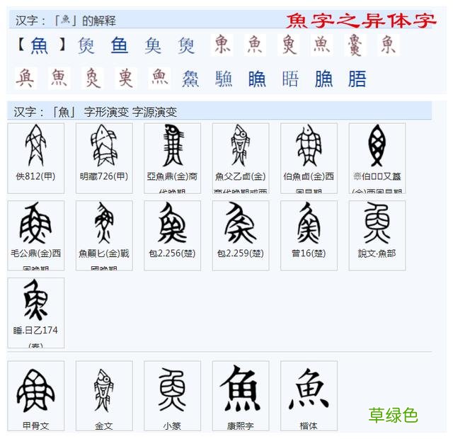 常用字范式之七十二 股字属什么行