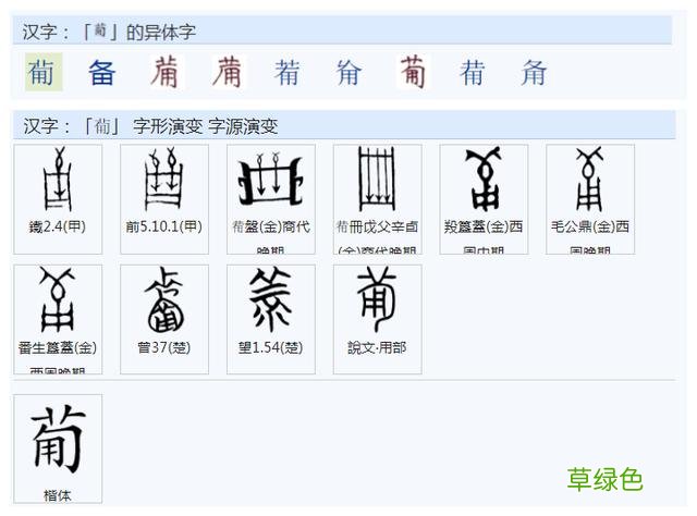 常用字范式之七十二 股字属什么行