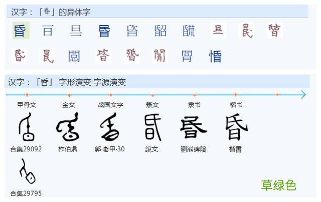 常用字范式之七十二 股字属什么行