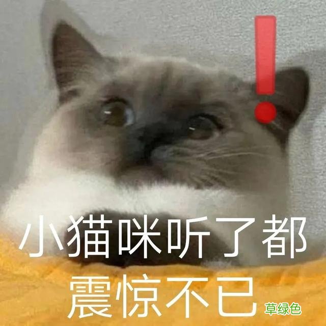 寝室群名大赏｜科院这些奇葩的群名里有你吗？ 群的名字