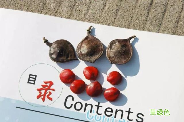 千古“三奇”在江阴，都有啥？ 翌属什么意思