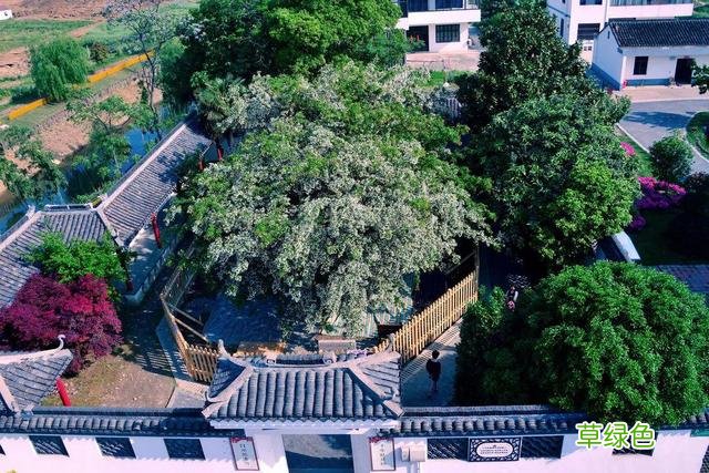 千古“三奇”在江阴，都有啥？ 翌属什么意思
