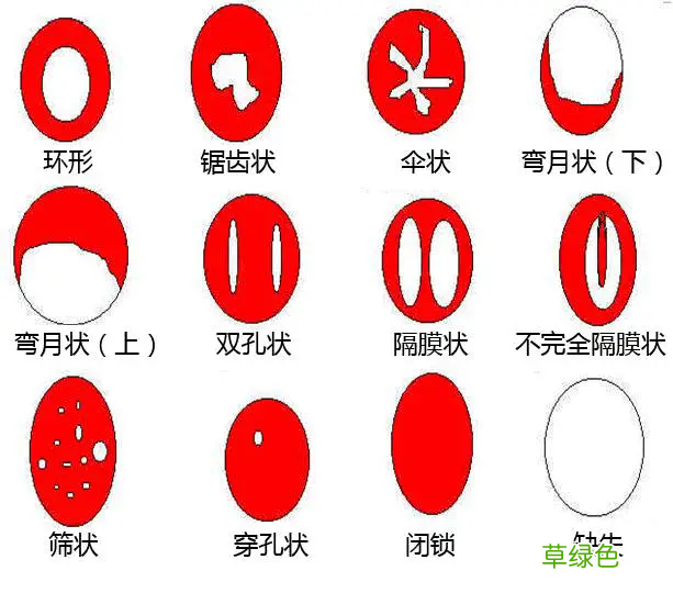 博鳌健康论坛 39健康论坛