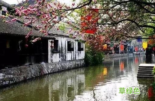 茶人茶话︱杨羽仪：水乡茶居 茶居名字