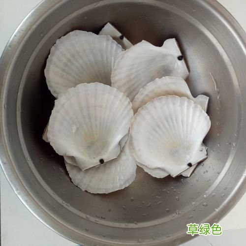 扇贝怎么清洗干净 扇贝怎么清洗