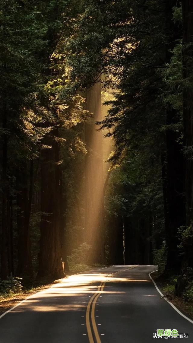致全网的陌生人，可以把你们备忘录中的一句话或者是喜欢的句子发给我吗？ 致什么好听