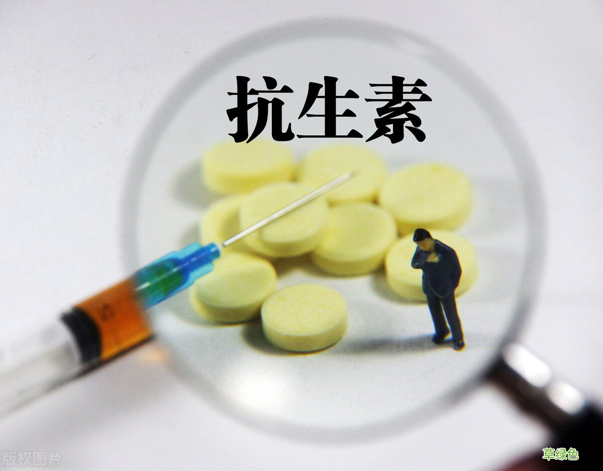 急性单纯性淋病 单纯性淋病